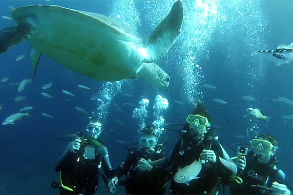 Bautizo de buceo en Tenerife