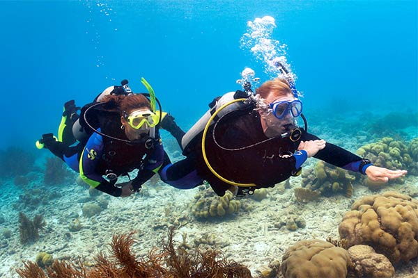 Bautizo de buceo en Tenerife