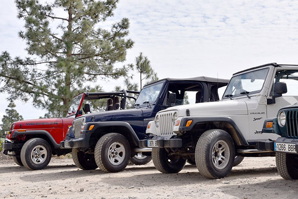 Excursion Jeep- Tenerife